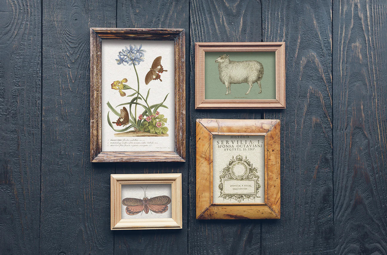 IOD Furniture Transfer - Brocante