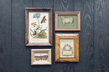 IOD Furniture Transfer - Brocante
