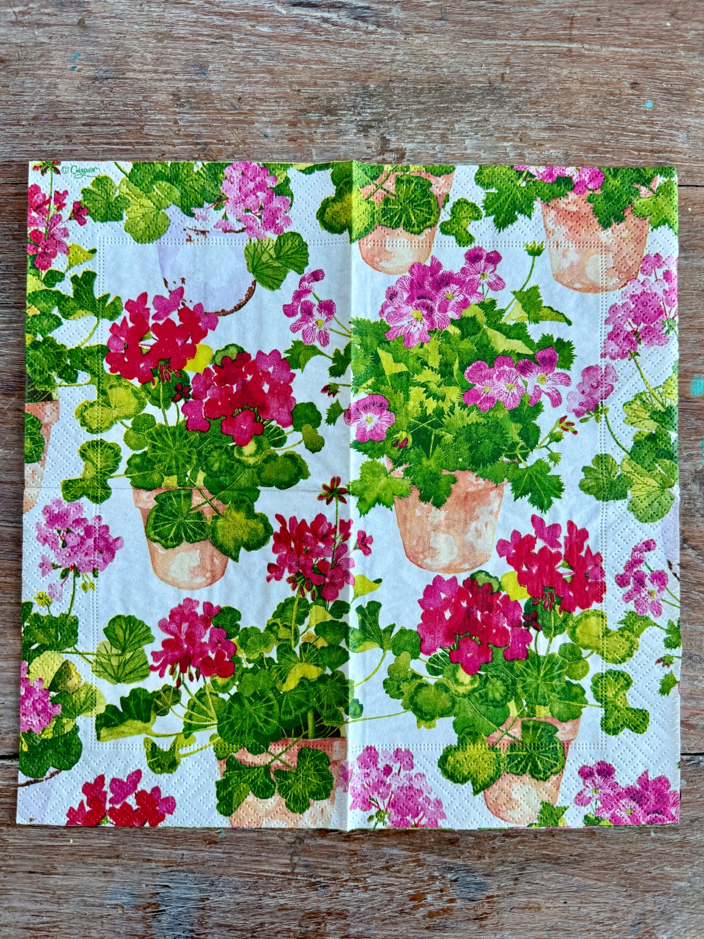 Designer Napkin-Trailing Geraniums