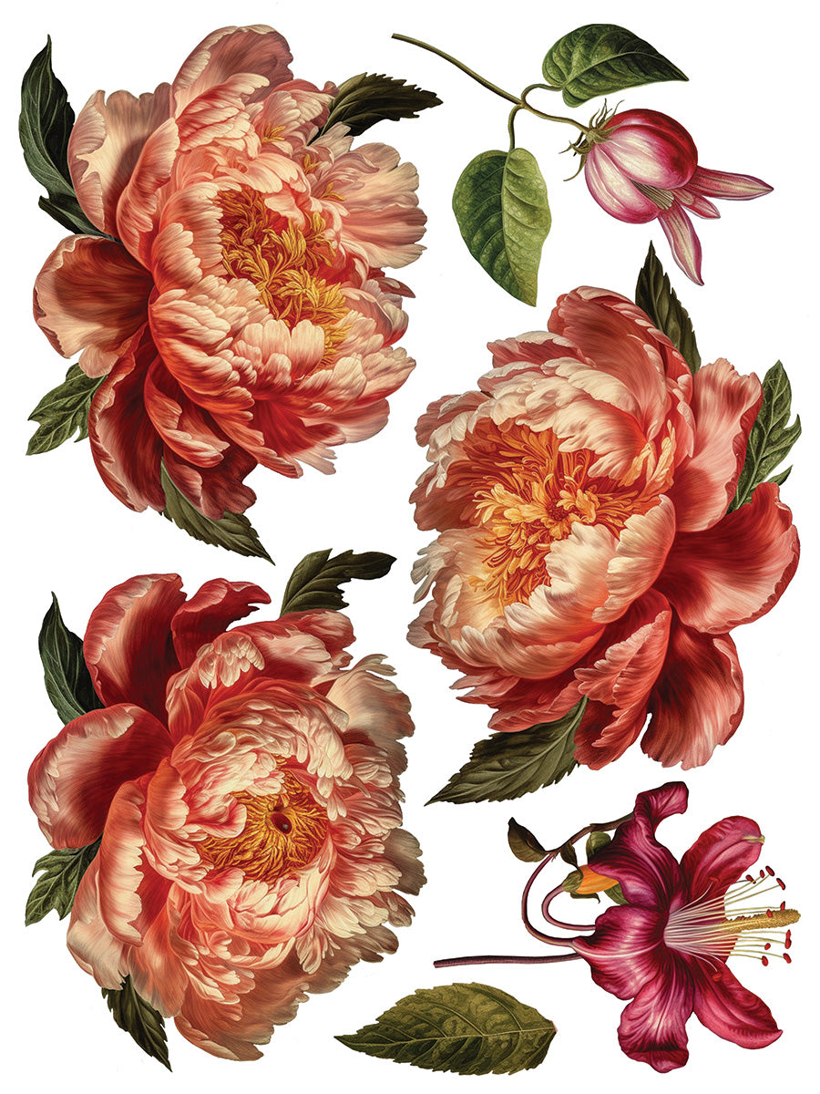 IOD Furniture Transfer-Collage de Fleurs