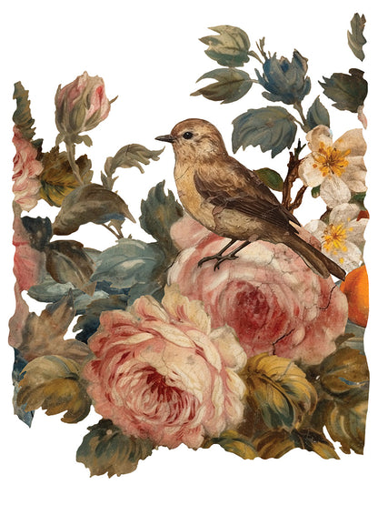 IOD Transfer: Joie Des Roses