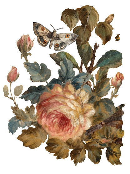 IOD Transfer: Joie Des Roses