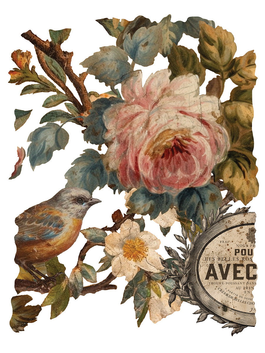 IOD Transfer: Joie Des Roses