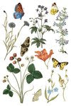 IOD Furniture Transfer " WILDE BLOEMEN