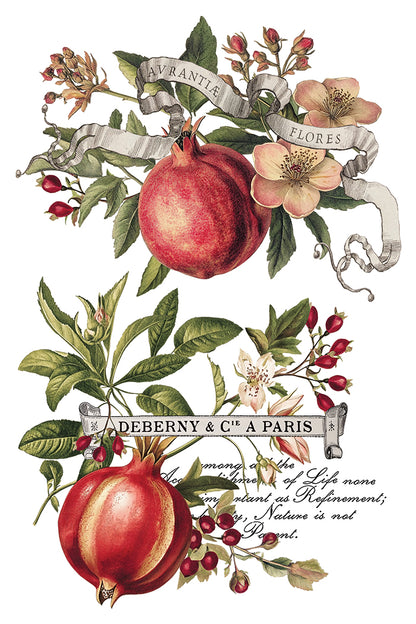 NEW: IOD Transfer-Clementine. ONLY 2 left!