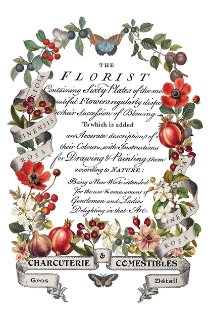 NEW: IOD Transfer-Clementine. ONLY 2 left!