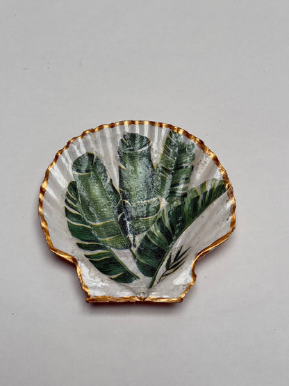 Scallop Shell-7cm