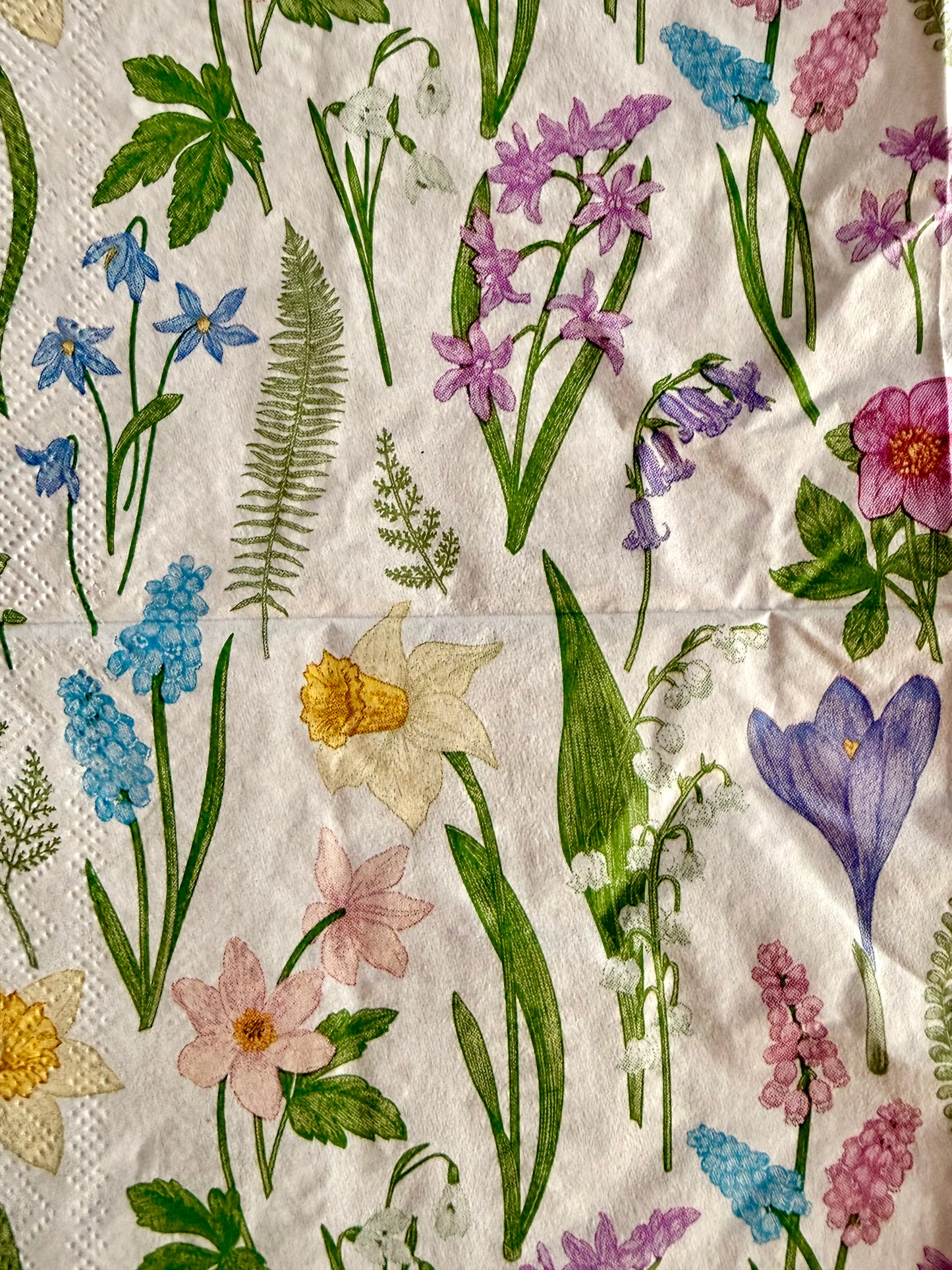 Napkin-Spring Garden