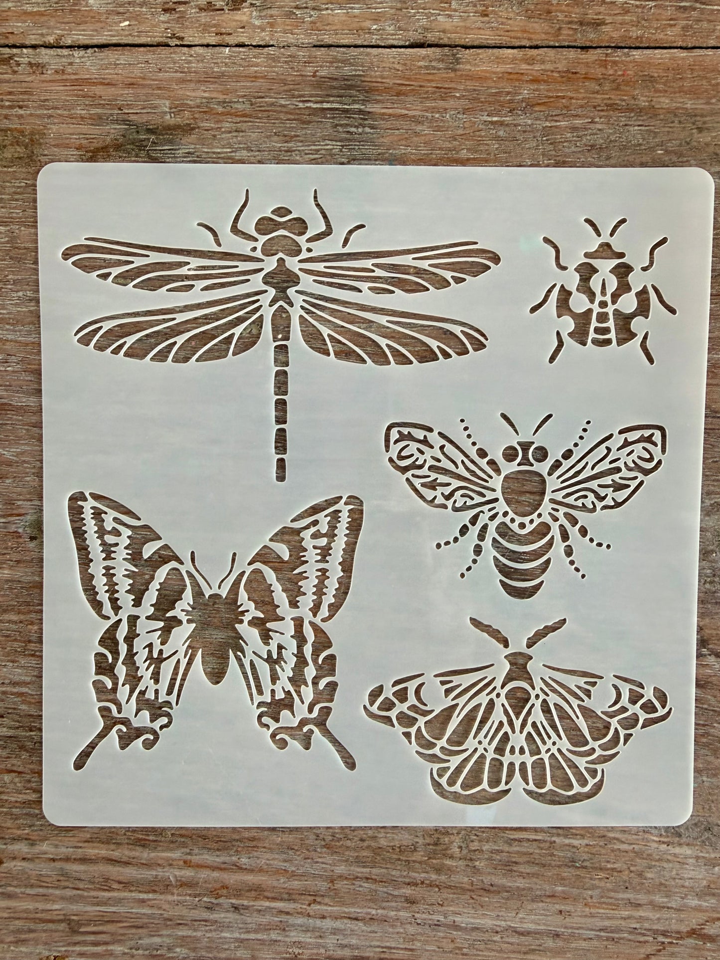 Stencil-Bee, Ladybird, butterfly, dragonfly