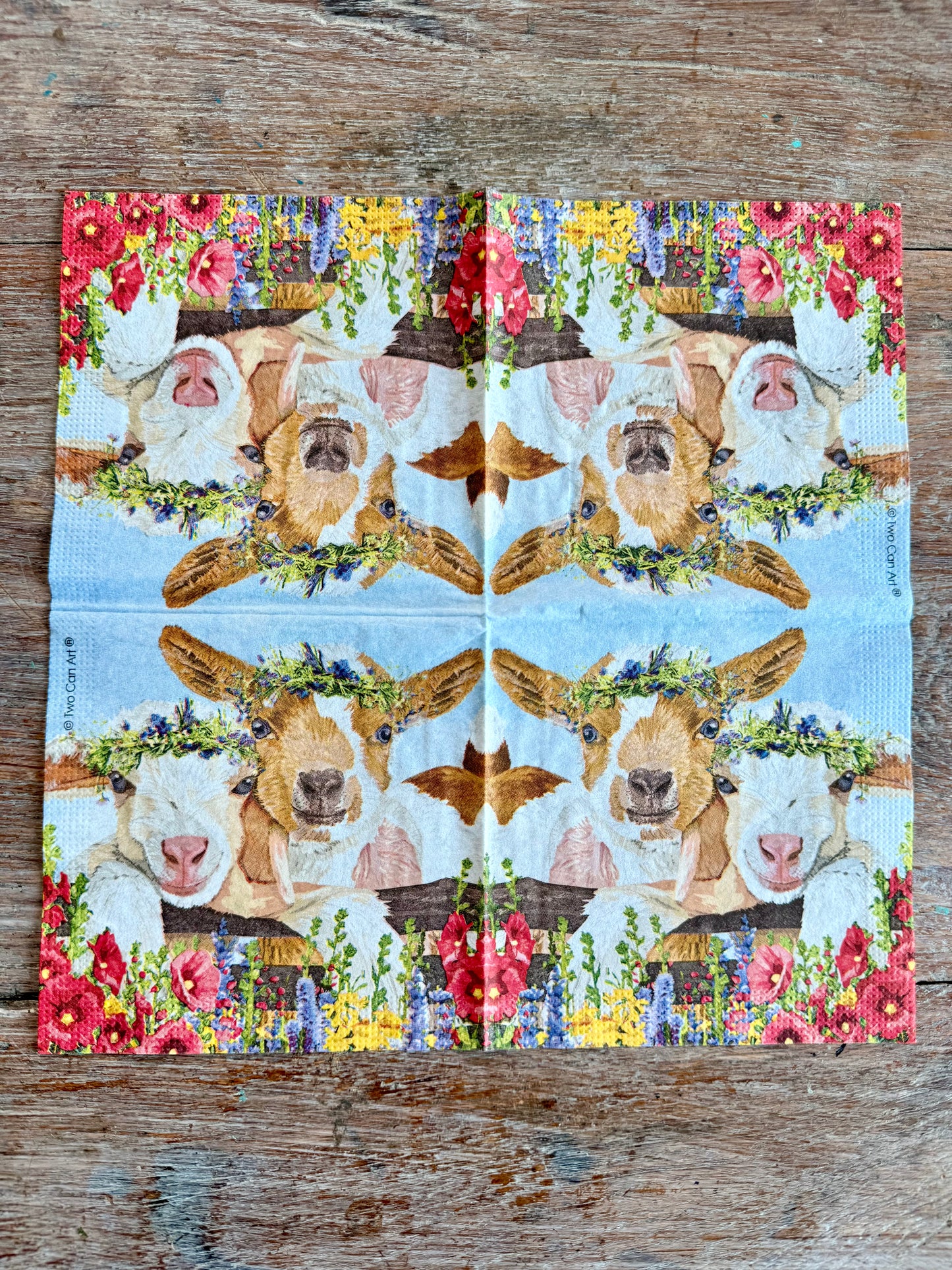Designer Napkin-Gary & Gracie