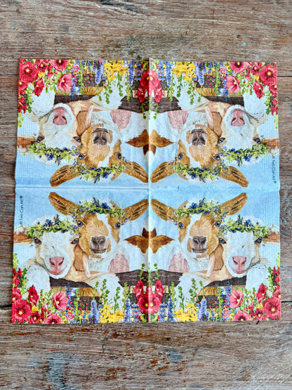 Designer Napkin-Gary & Gracie