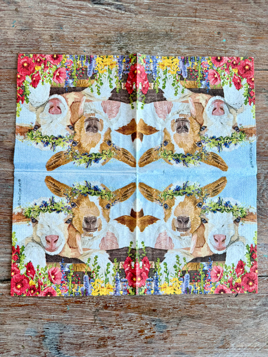 Designer Napkin-Gary & Gracie