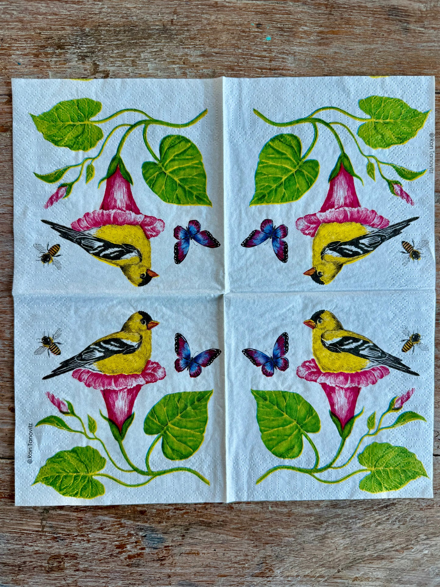 Designer Napkin-Morning Glory Nest