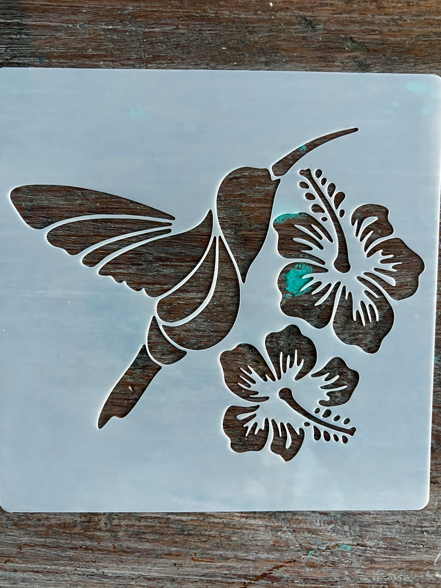 Stencil-Hummingbird hibiscus