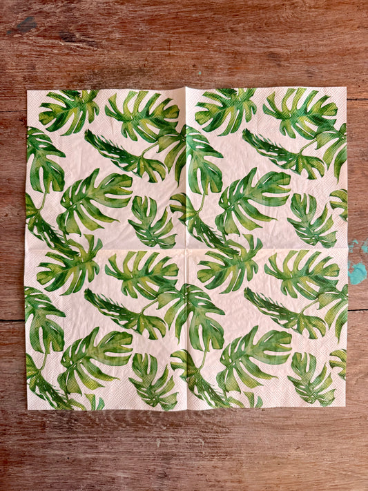 Napkin-Tropic Monsteria