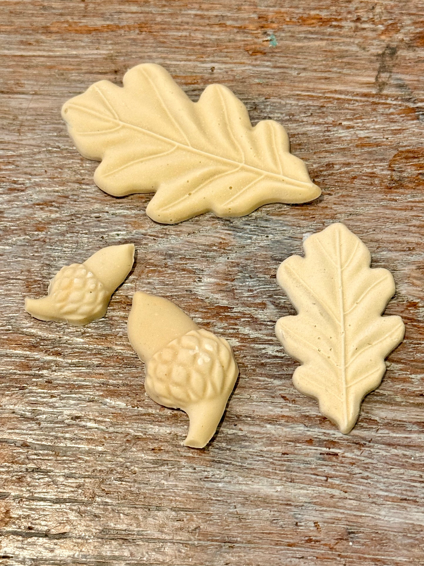 Magnolia Flexible Moulding- Acorn & Leaves