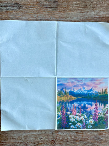 Napkin-Tekapo Lupins