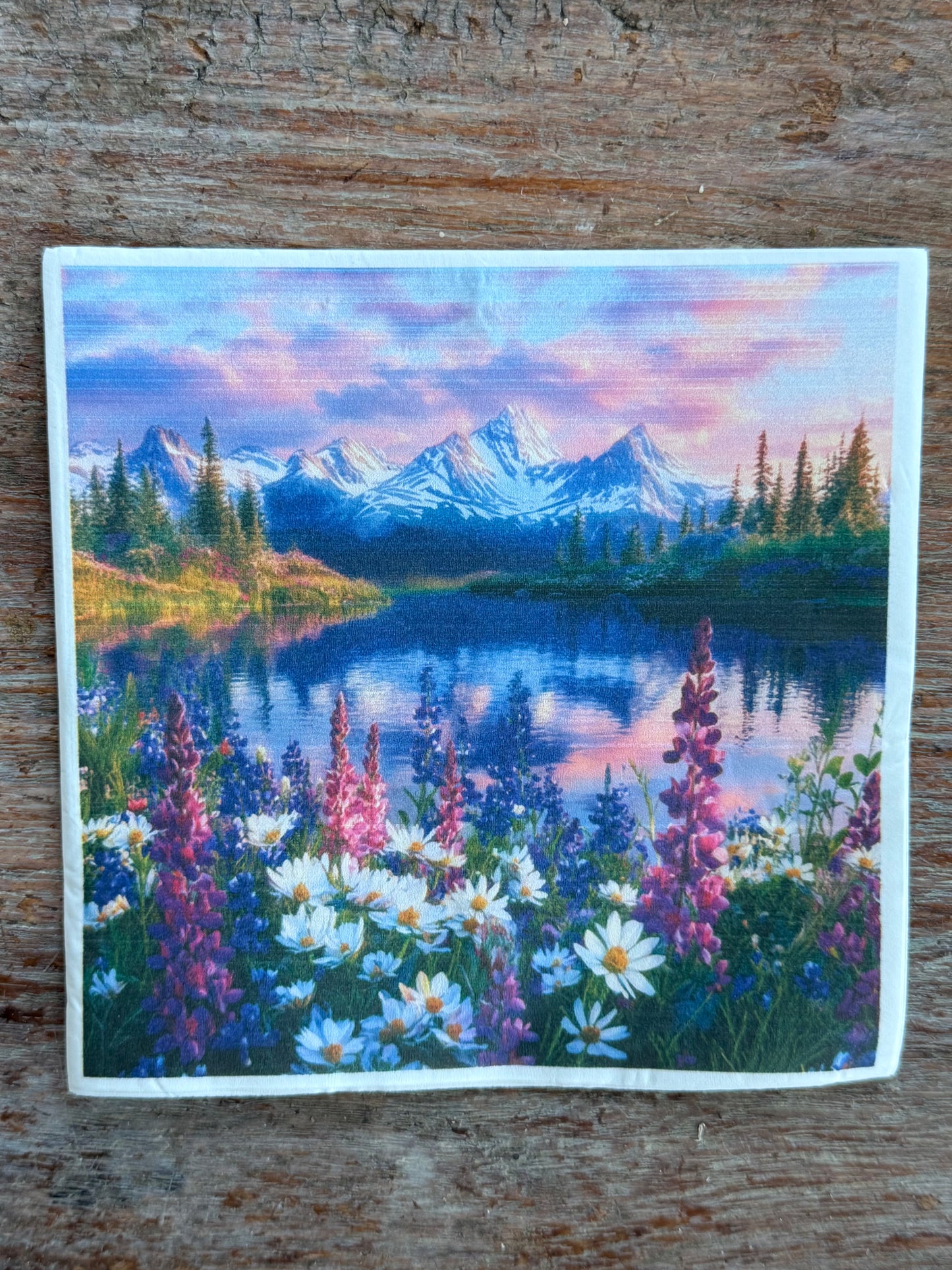 Napkin-Tekapo Lupins