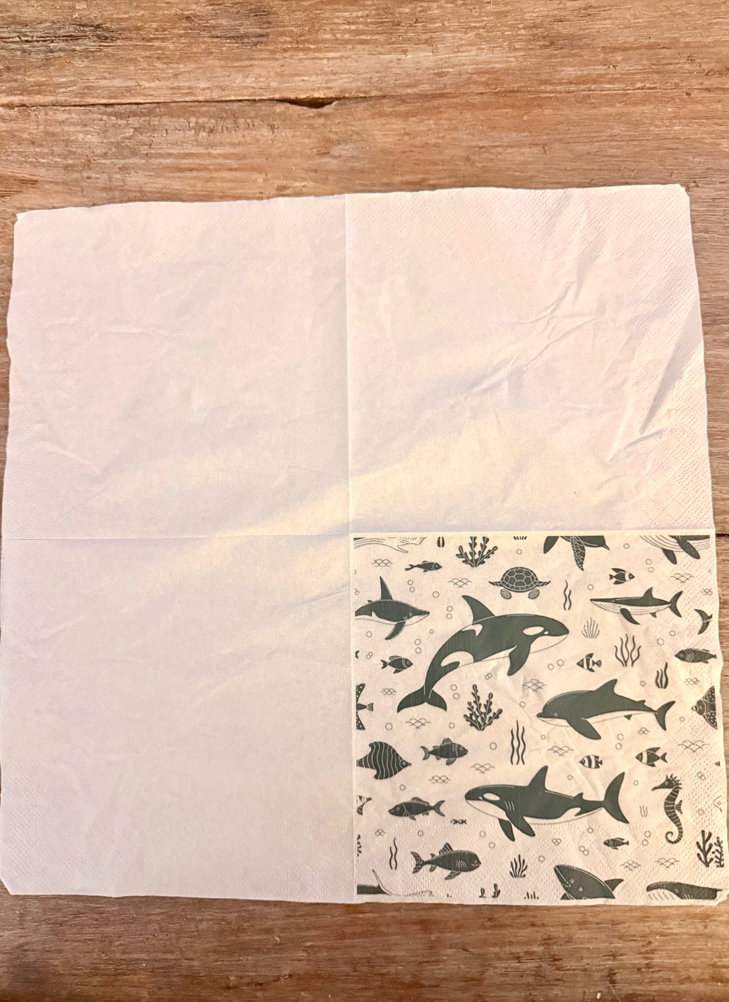 Napkin-Whales, Seahorses