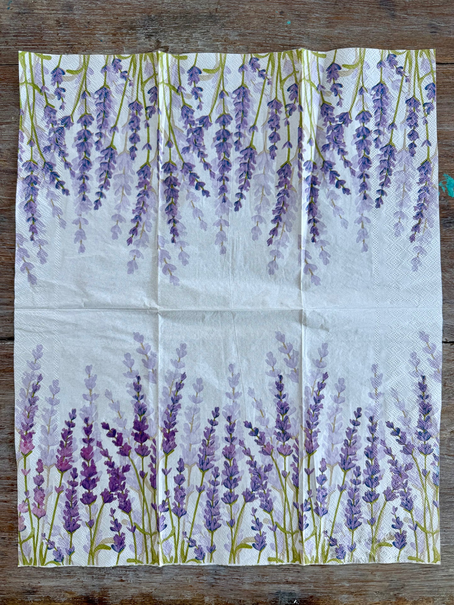 Napkin-Whispering Lavender lge