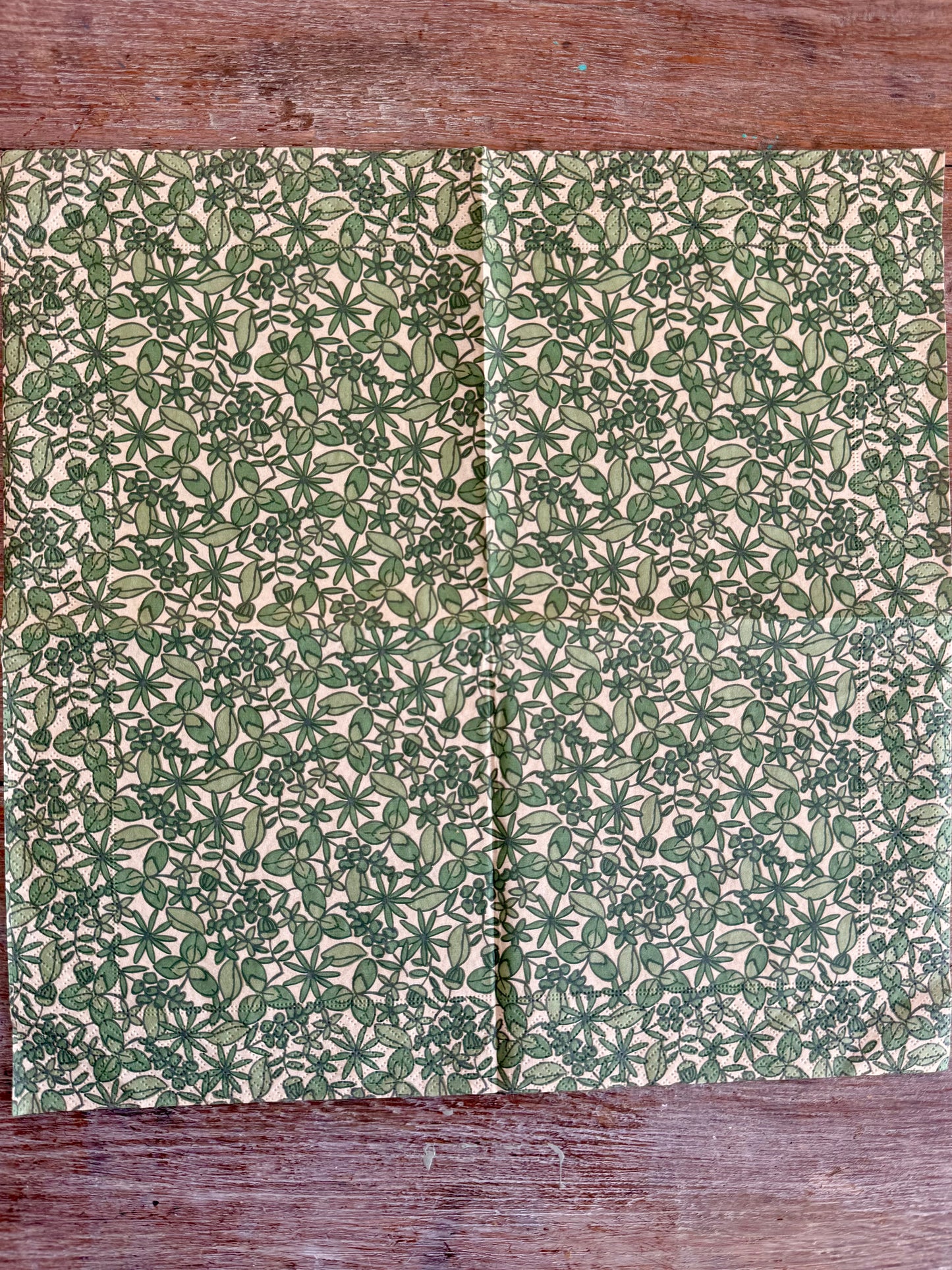 Napkin Paris-Green Garden