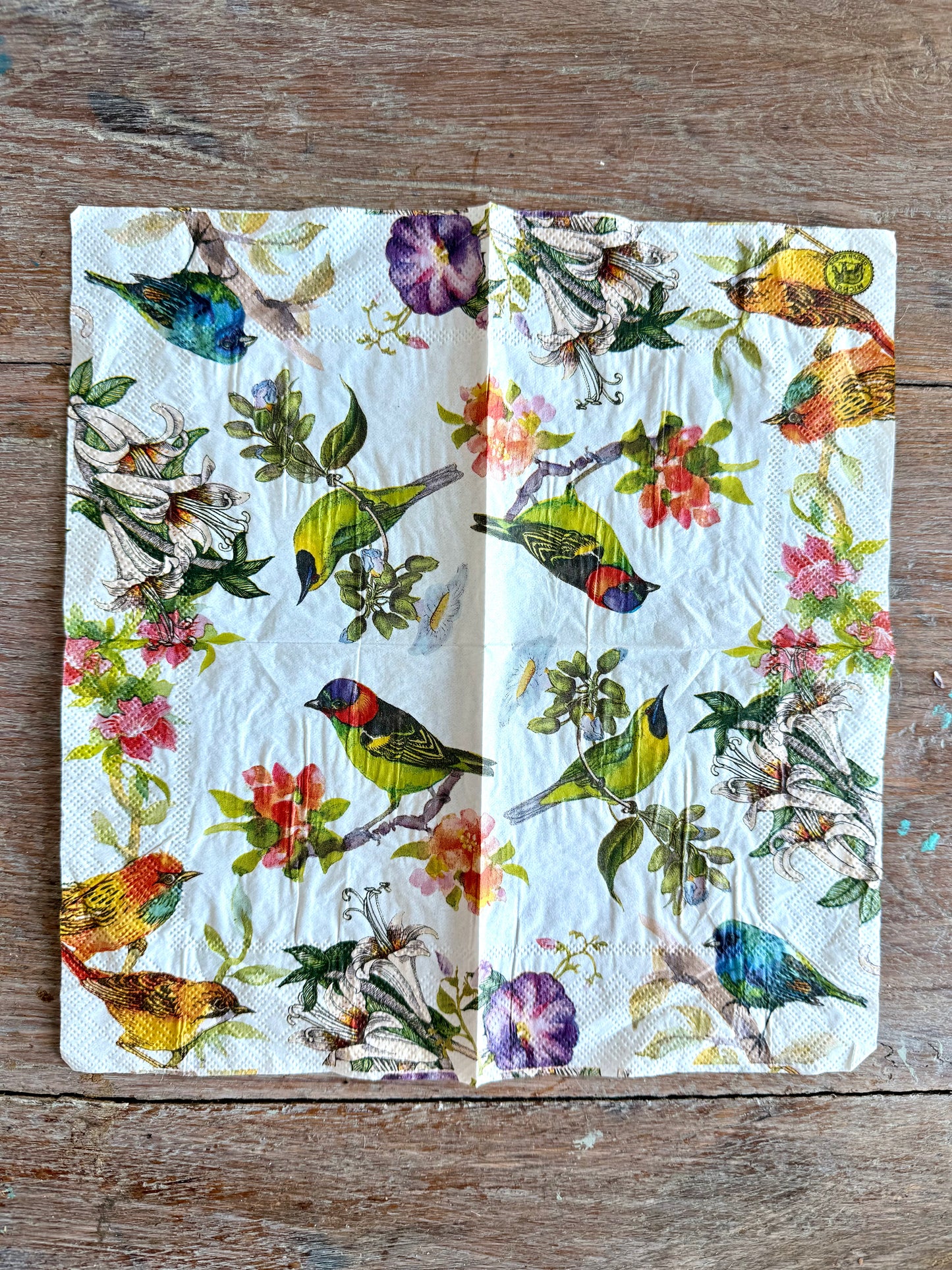 Napkin-Beautiful Birds & Tropical flowers