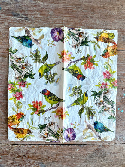 Napkin-Beautiful Birds & Tropical flowers