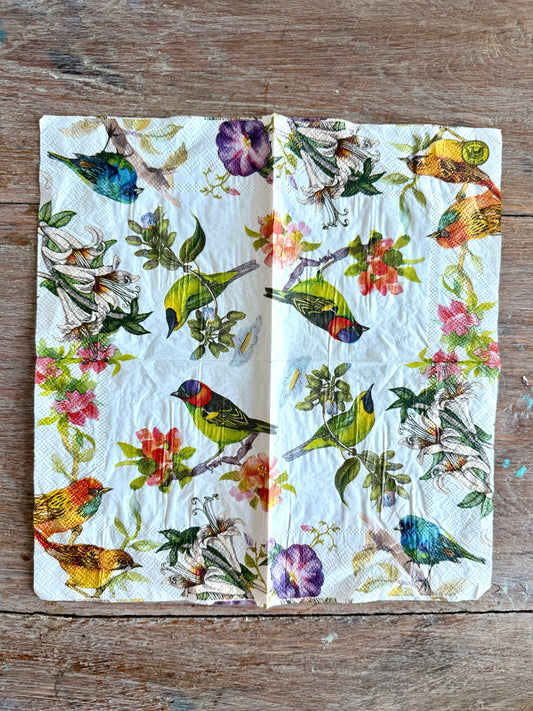 Napkin-Beautiful Birds & Tropical flowers
