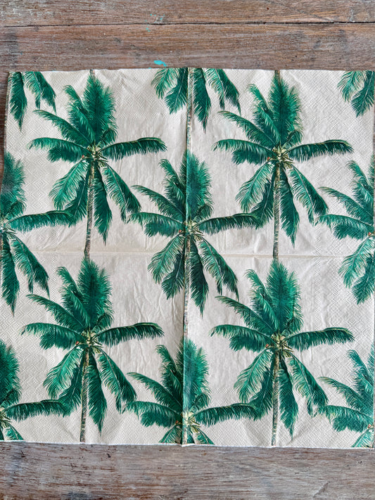 Palms