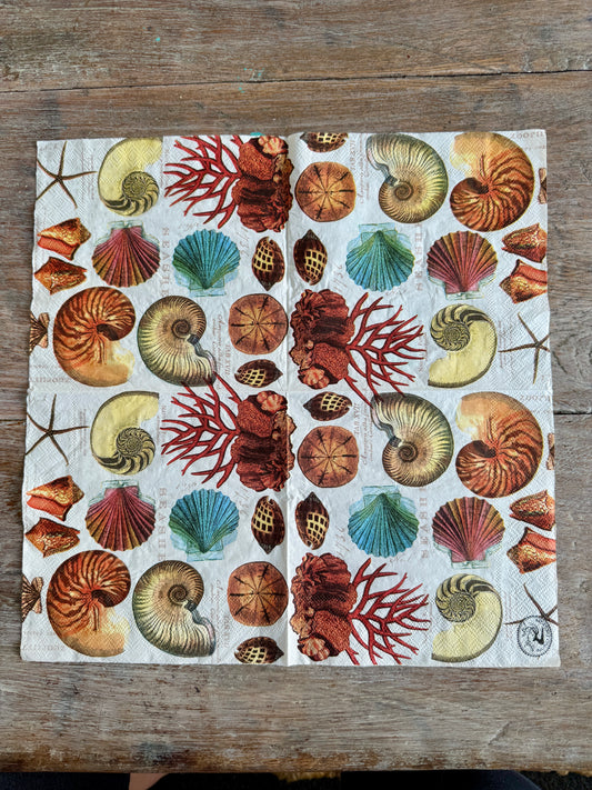 Napkin-Seashells