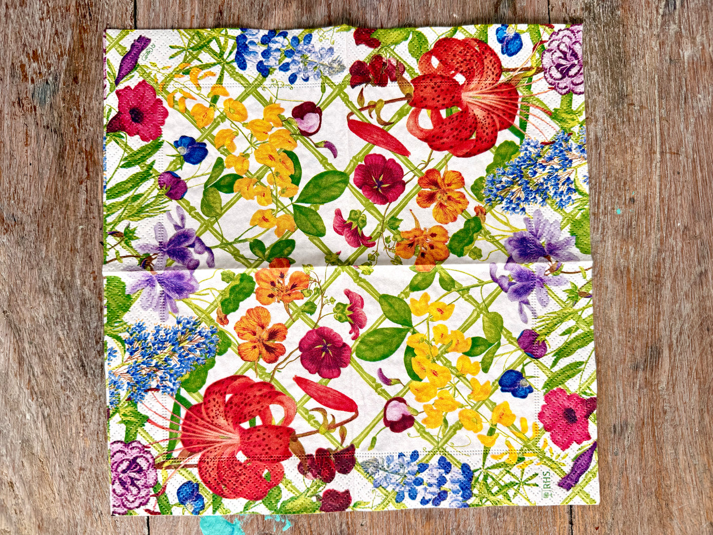 Designer Napkin-Floral Trellis