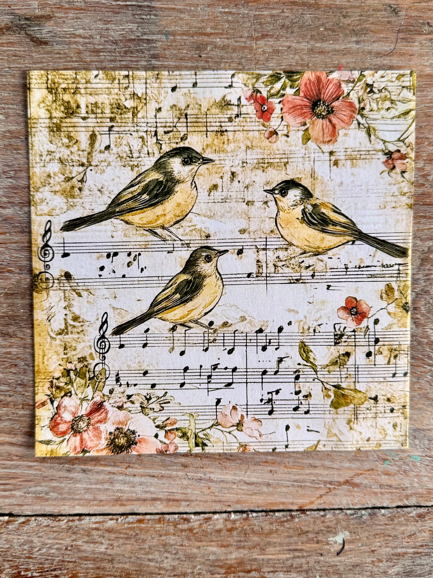 Scrapbook paper-Distressed Birdsong