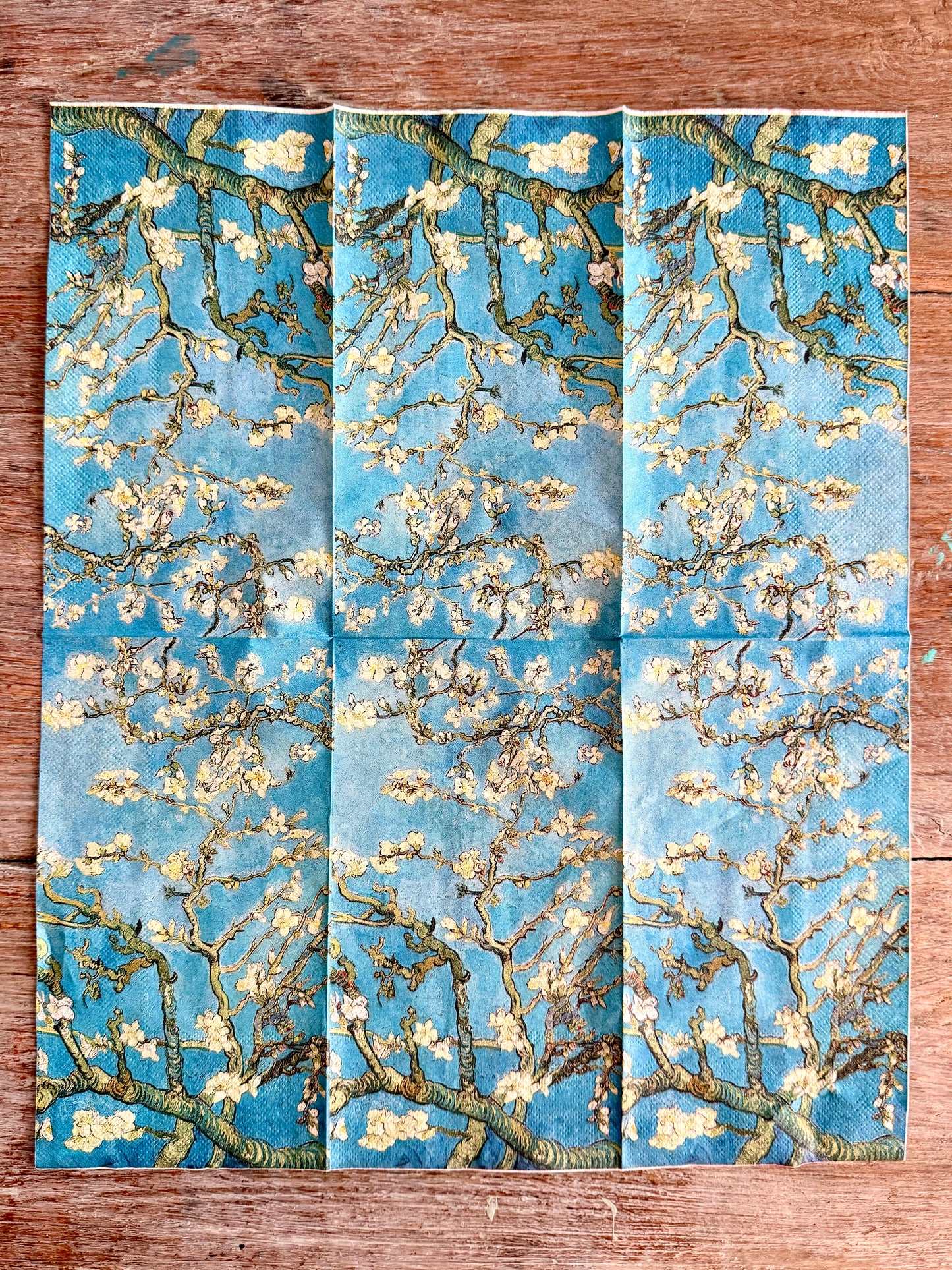 Napkin-Blossom Azure