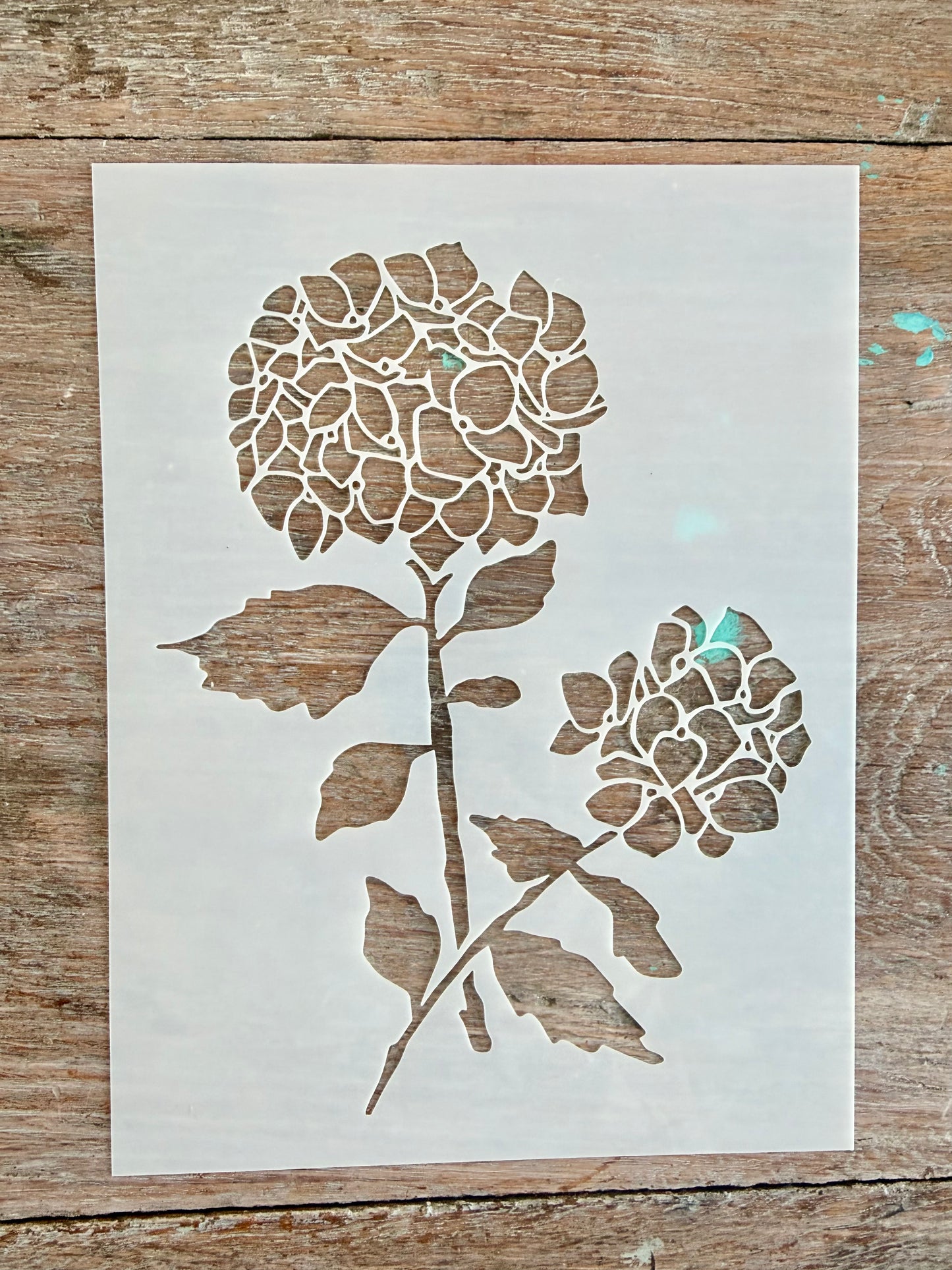 Stencil -Hydrangea