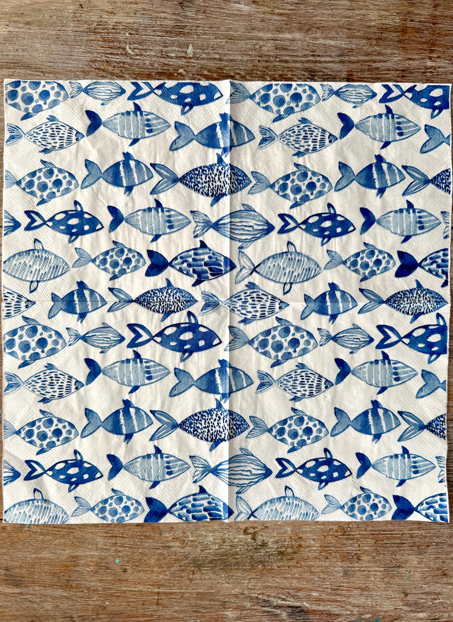 Napkin-Blue Fish school