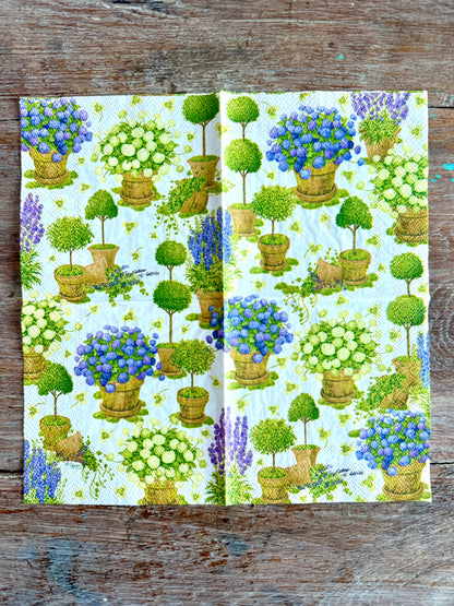 Designer Napkin-Potted Hydrangeas