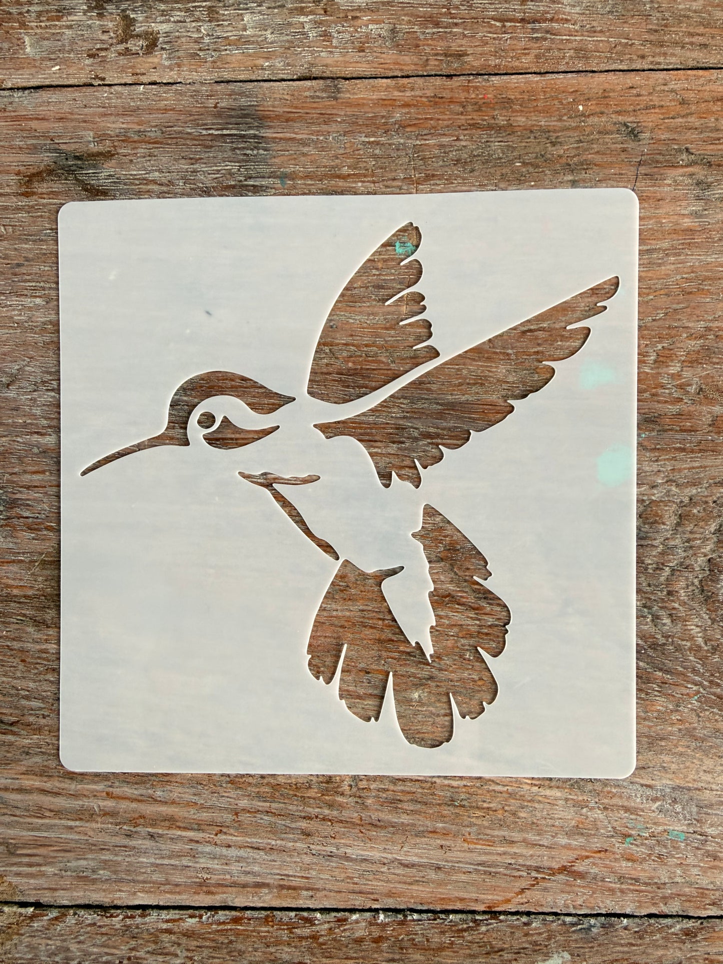 Stencil-Hovering Hummingbird