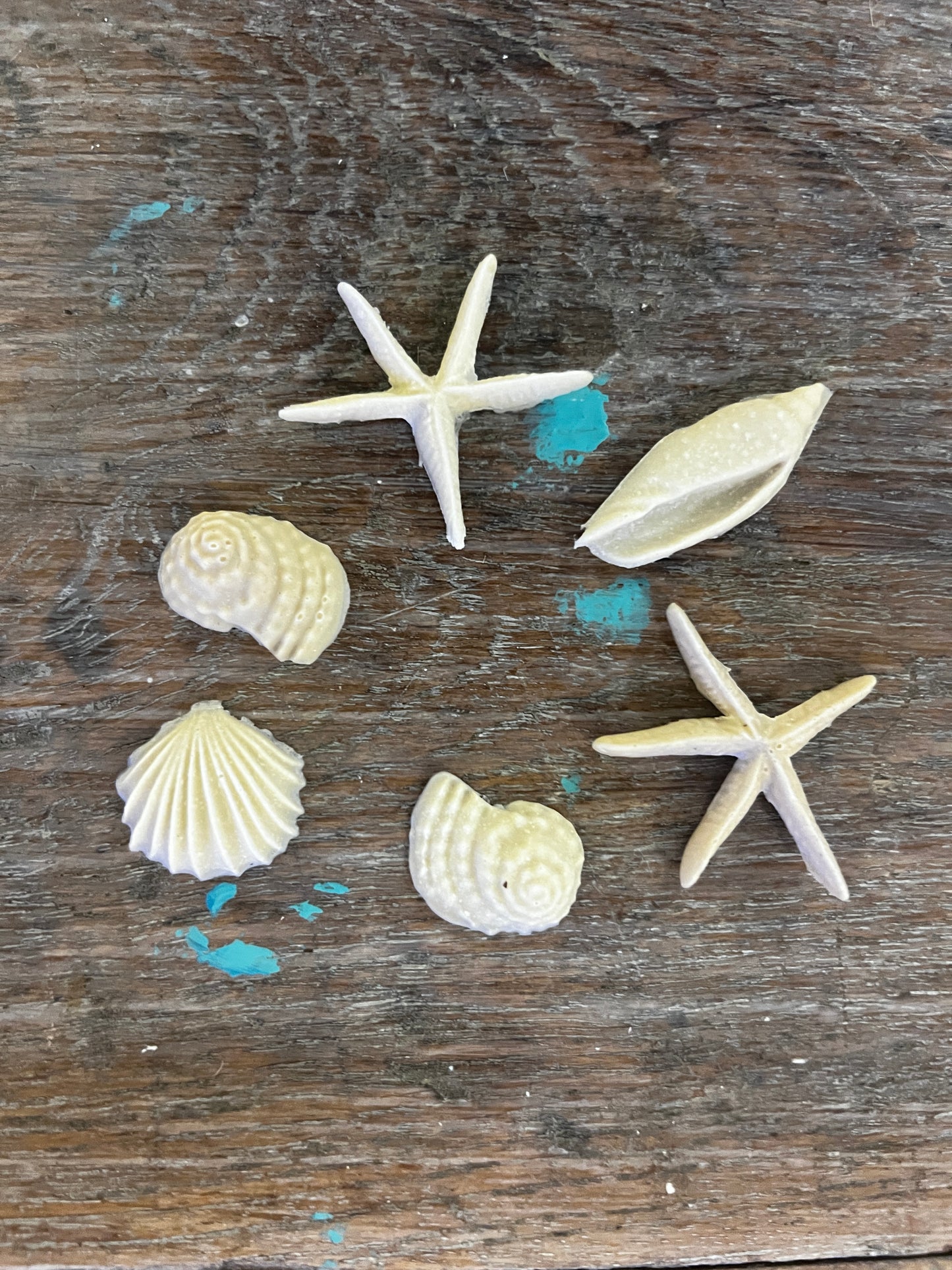 Magnolia Flexible Moulding- Shells