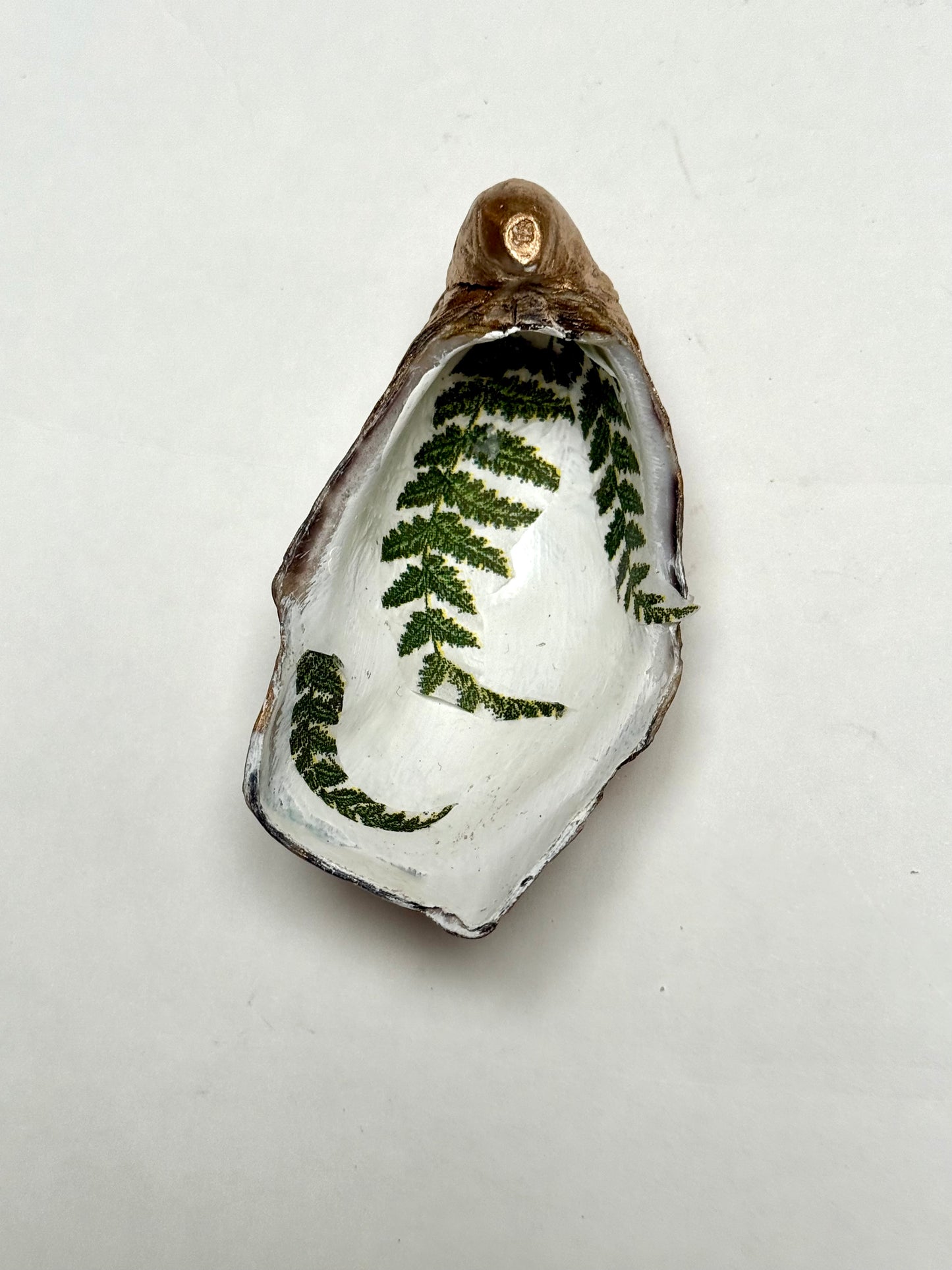 Oyster Shell 2 piece