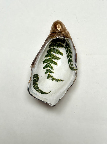 Oyster Shell 2 piece