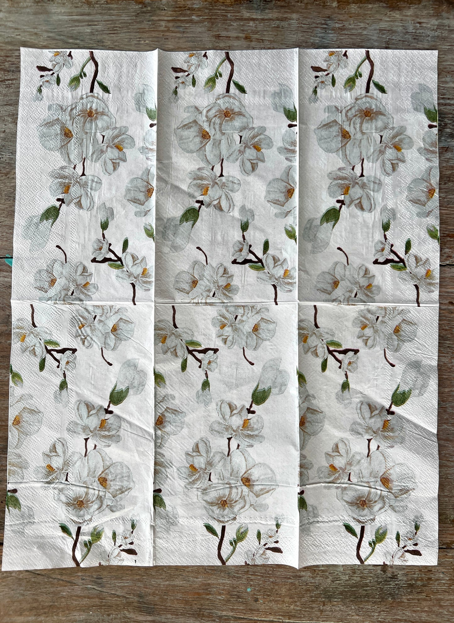 Napkin Tissue -Magnolia branch