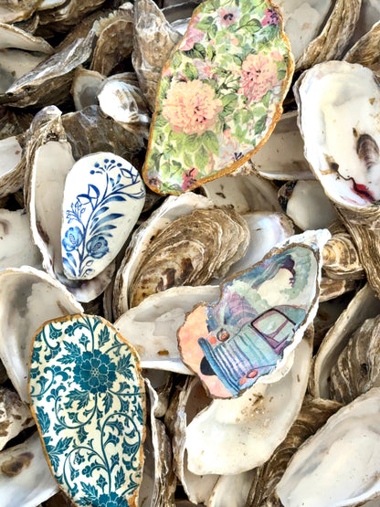 Oyster Shell x 1