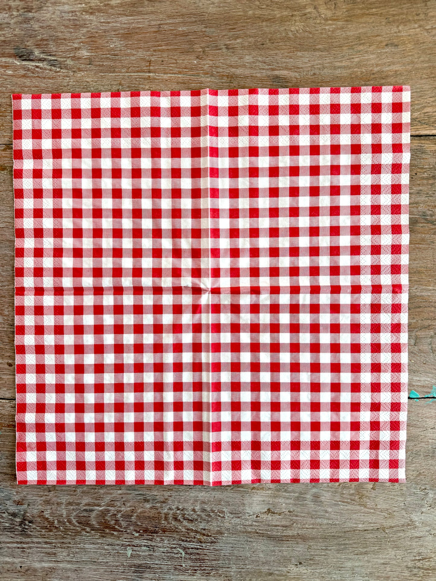 Napkin-French Vichy Checker