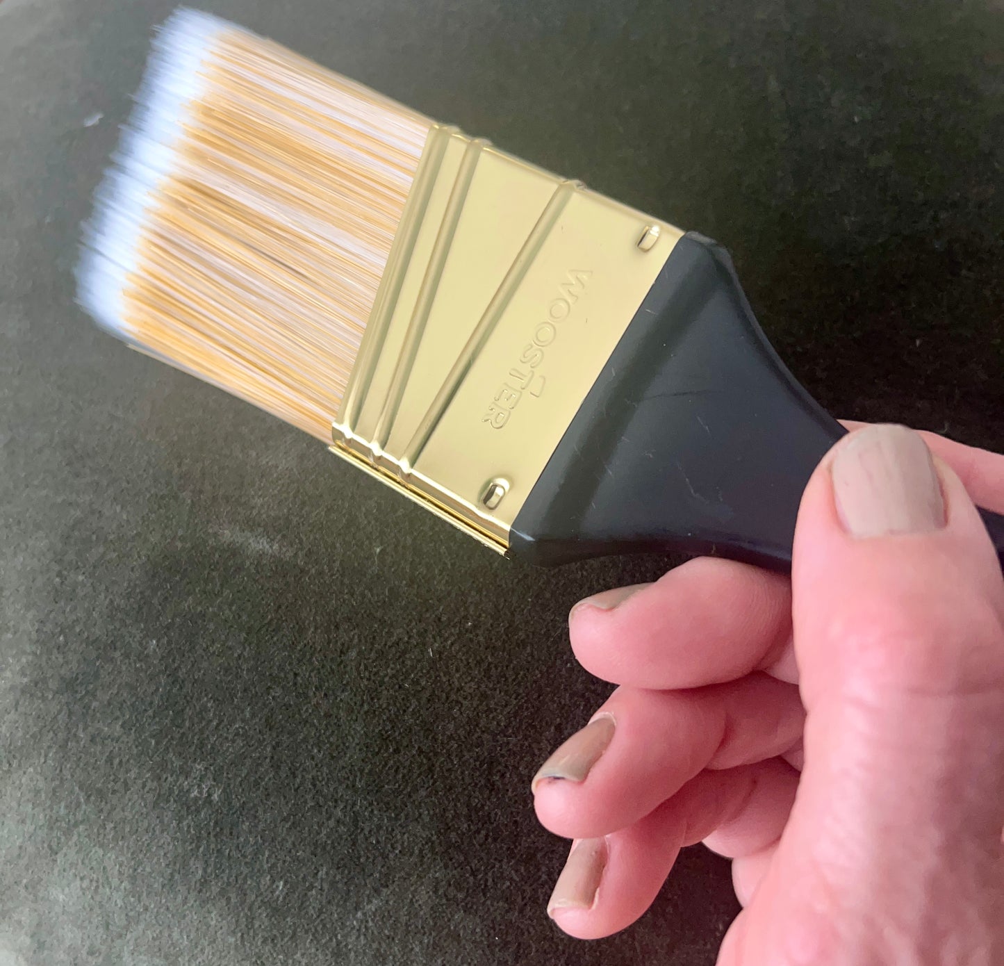 Brushes Angled Paint Brush