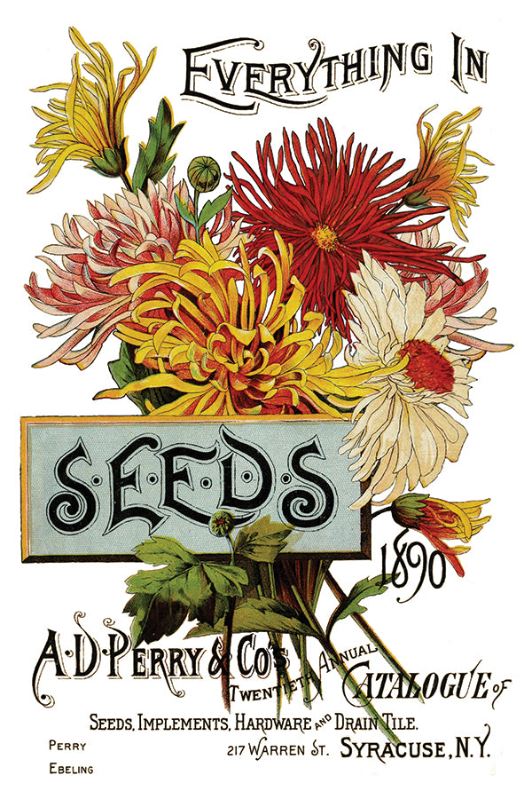 IOD Furniture Transfer " SEED CATALOGUE"