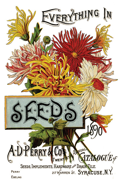 IOD Furniture Transfer " SEED CATALOGUE"