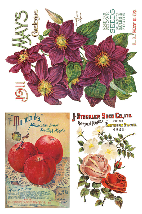 IOD Furniture Transfer " SEED CATALOGUE"