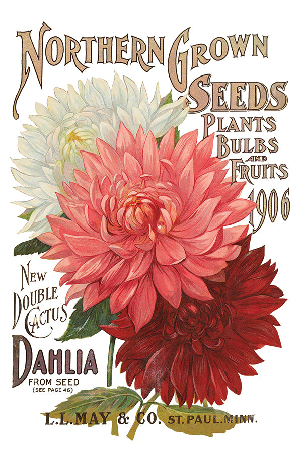 IOD Furniture Transfer " SEED CATALOGUE"