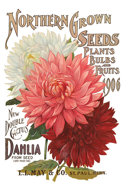 IOD Furniture Transfer " SEED CATALOGUE"