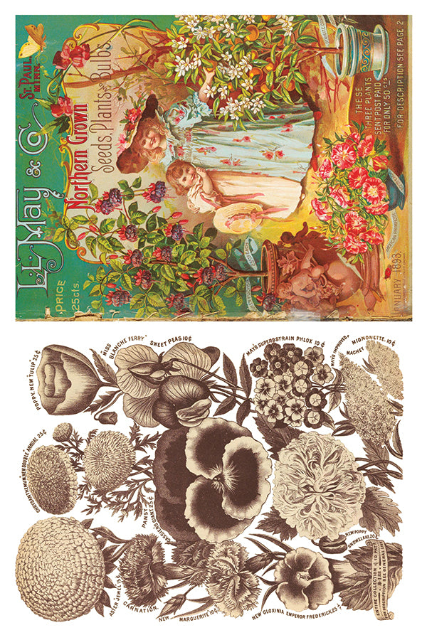 IOD Furniture Transfer " SEED CATALOGUE"